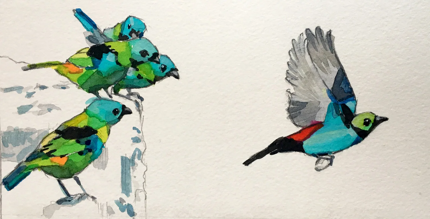 Composition study / Estudo de composição