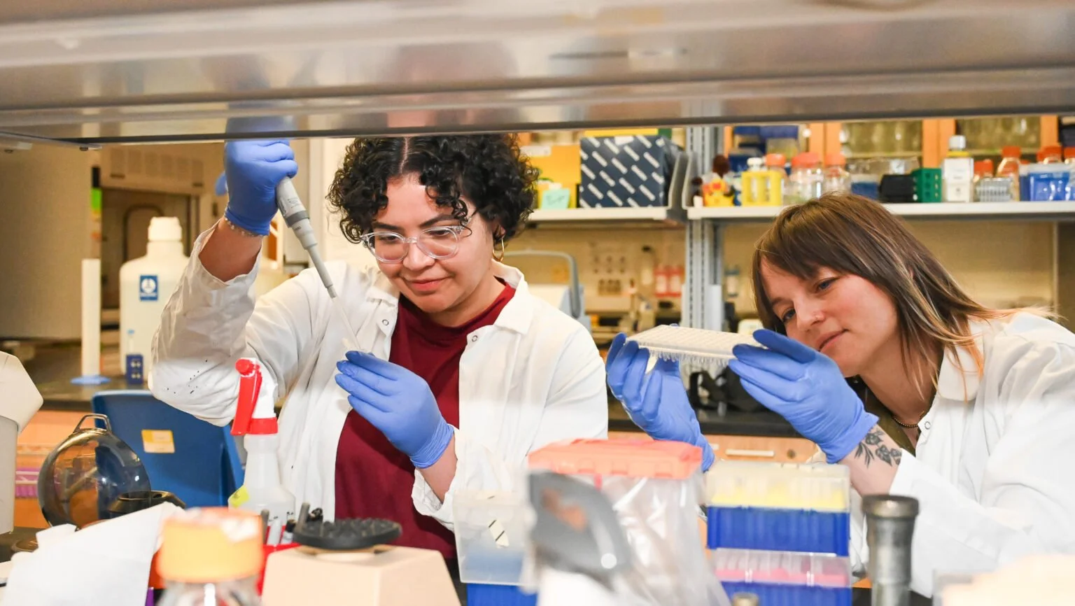 Two scientists in in lab coats at the bench doing molecular biology.