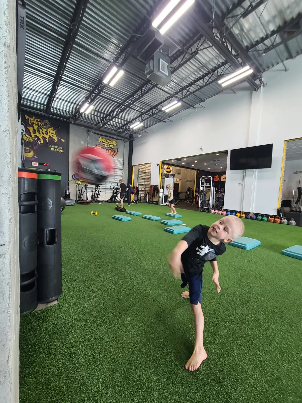 WhatsApp Image 2026-02-12 at 15.39.27.jpeg