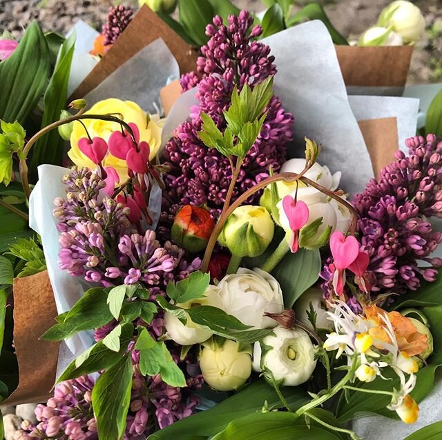 Adorable bouquets headed to @craftsburygeneral ✨Order yours on their website!
.
.
.
.
#buylocal #localflowers #lilacs #spring #summer