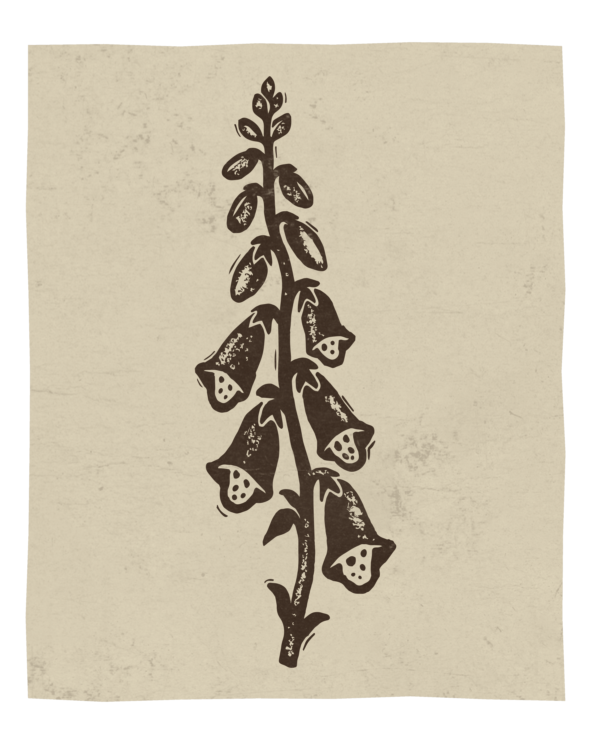 Morey Hill Farm logo