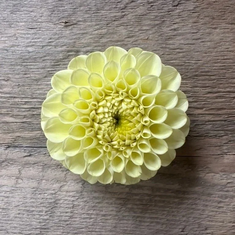 MM Buttercream