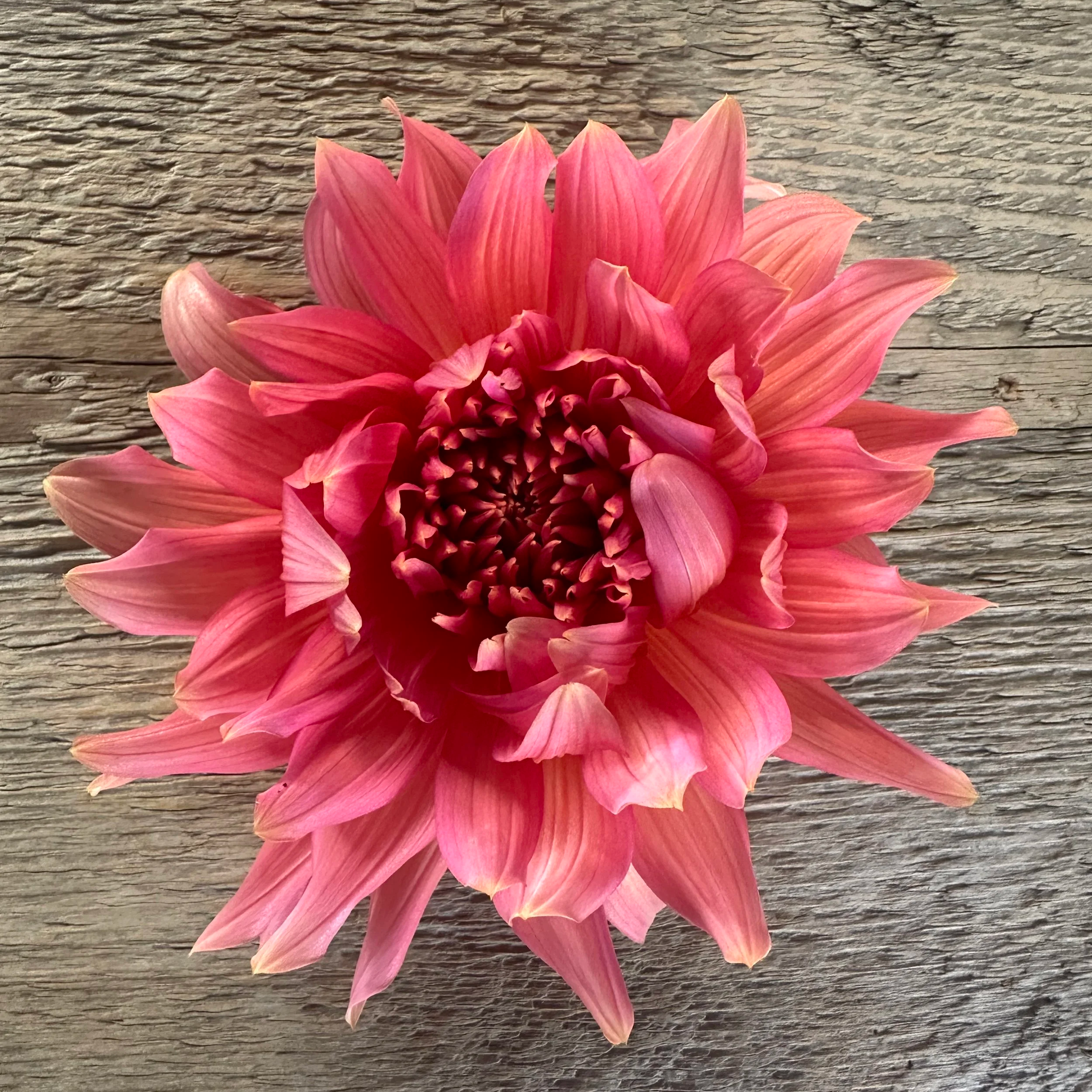 7F5313C2-0484-4ECC-928D-A614A6ABBE68.png