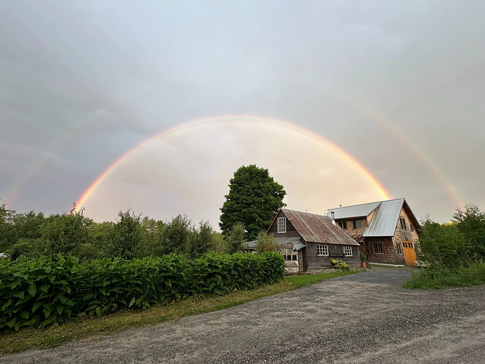 A double rainbow arches across a cloudy sky over a rural farm scene. There is a large green tree in the center, surrounded by an old wooden house with a metal roof, and a gravel driveway in the foreground.