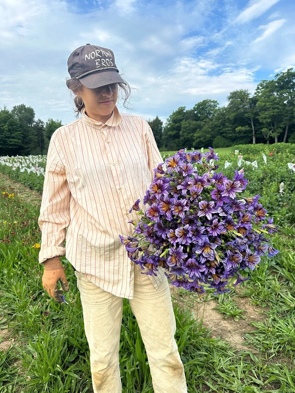 Woman in a striped shirt and beige pants holding a large bunch of purple flowers in a farm field with rows of plants and a blue sky with clouds.