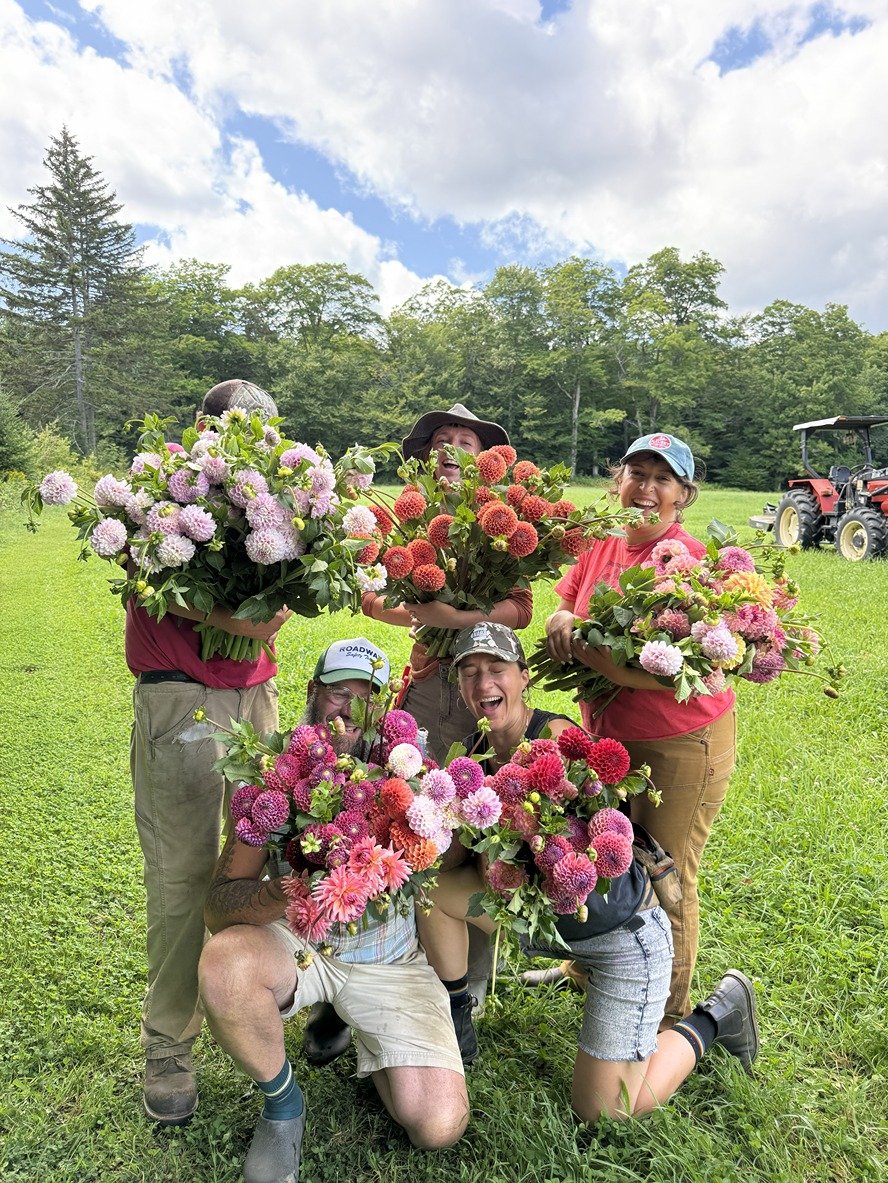 Group of five people outdoors holding large bouquets of colorful dahlia tubers, smiling, with trees and a tractor in the background.