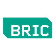 Bric.png