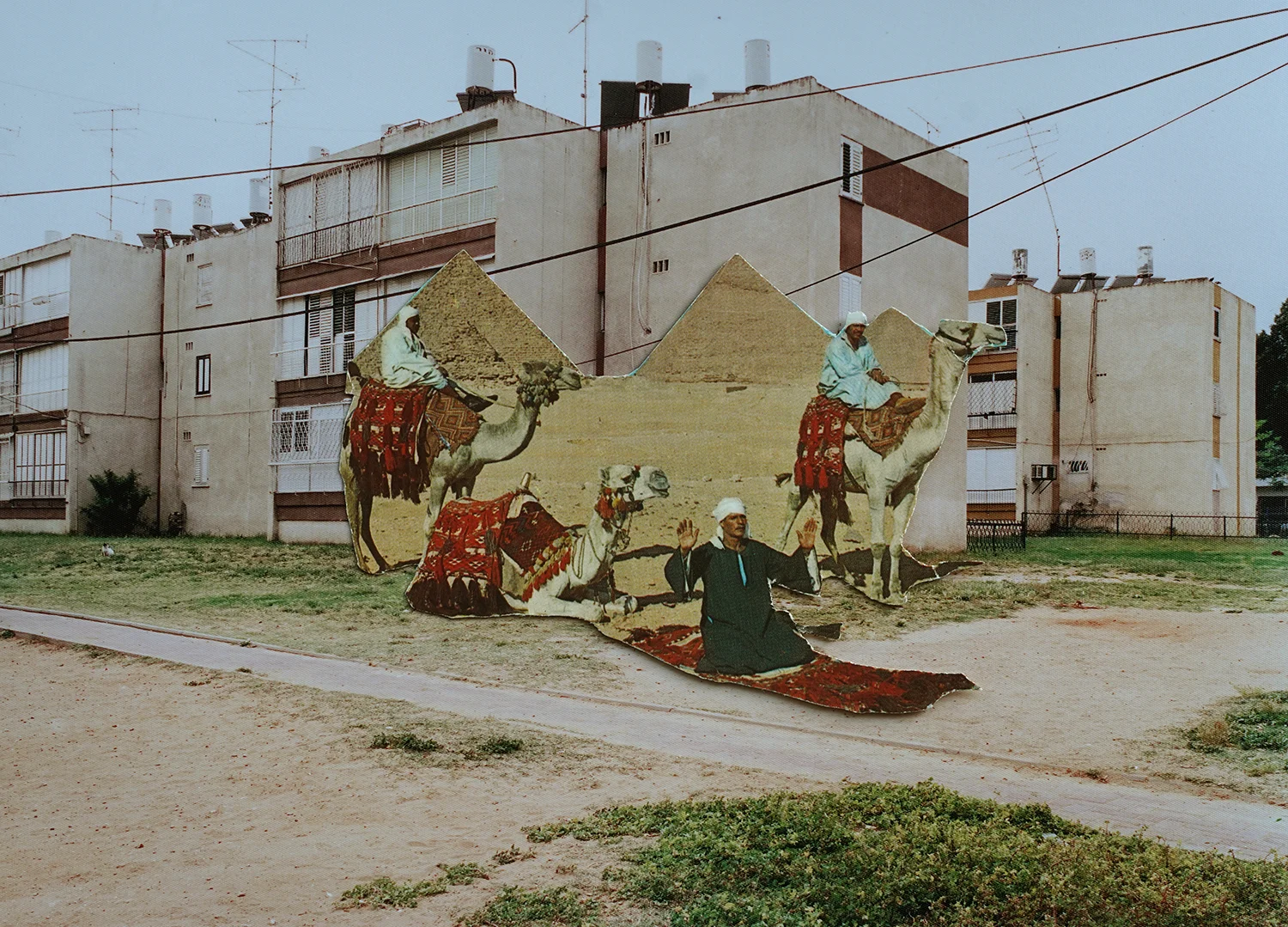 6789_1500.jpg
