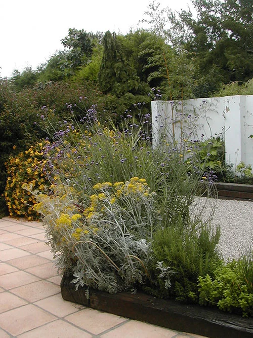 DSCN3436.jpg