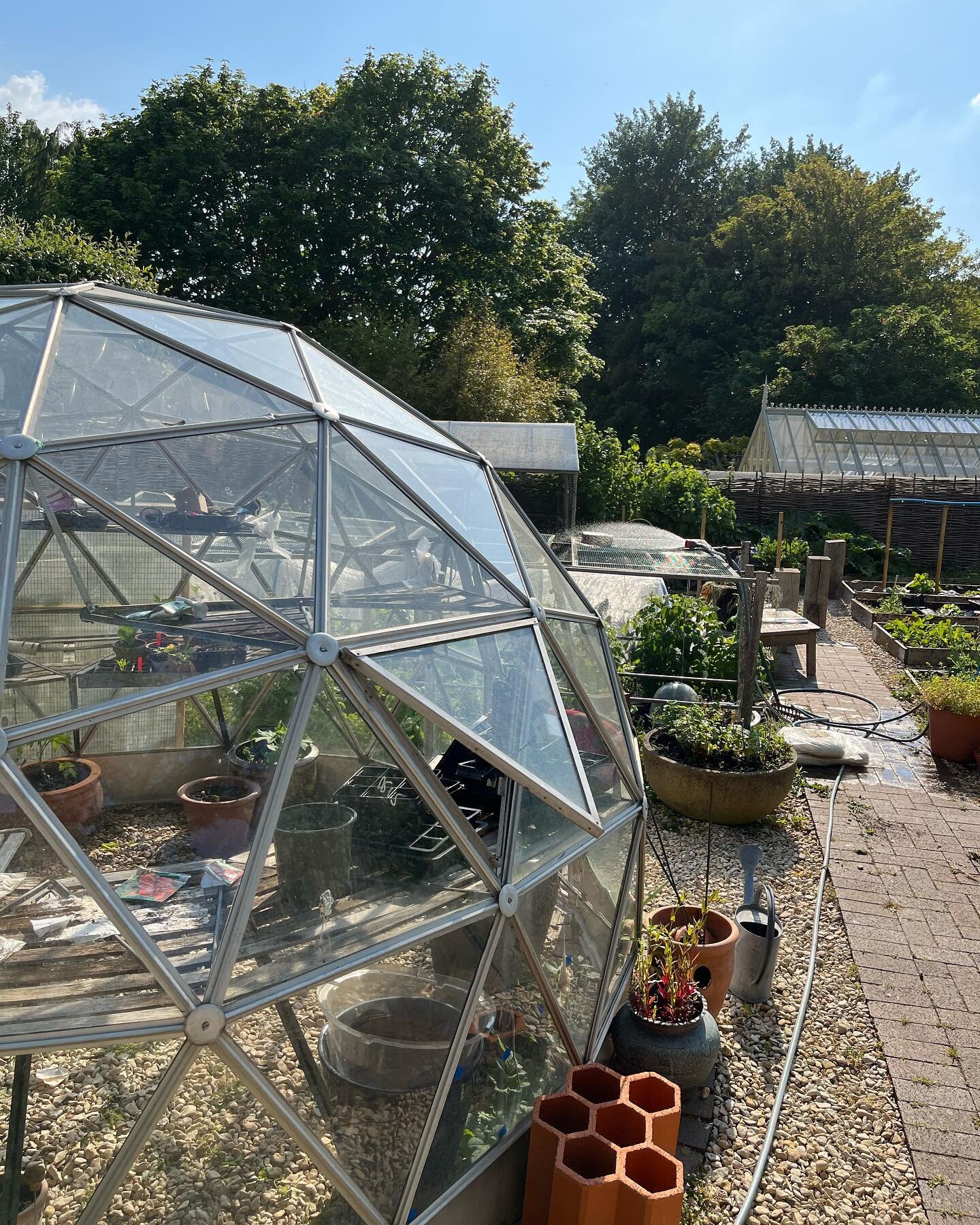 Our kitchen garden production is up thanks to #nodig @charles_dowding 
a really excellent book, plant labels by Faye Matthews.  #countrylife #oxfordarchitect #kitchengarden #geodesicdome #kale