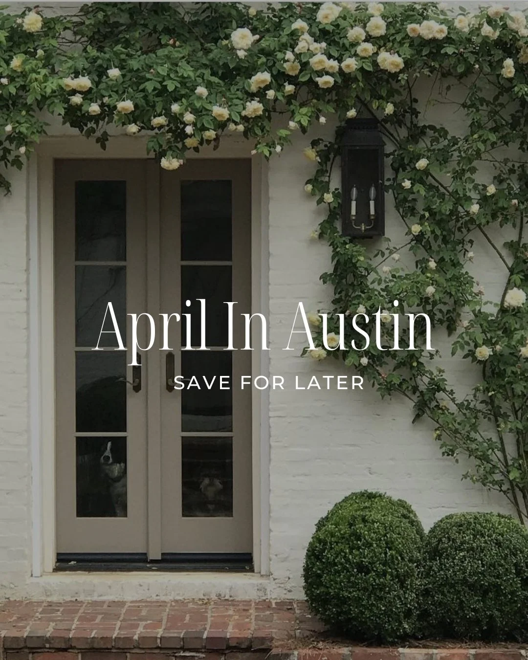 Your April calendar just filled itself.

From garden parties and George Strait to Kite Fest, Cap10K, museum moments, and blues after dark, Austin is very much in its element this month.

Save this for later, send it to your group chat, and start maki