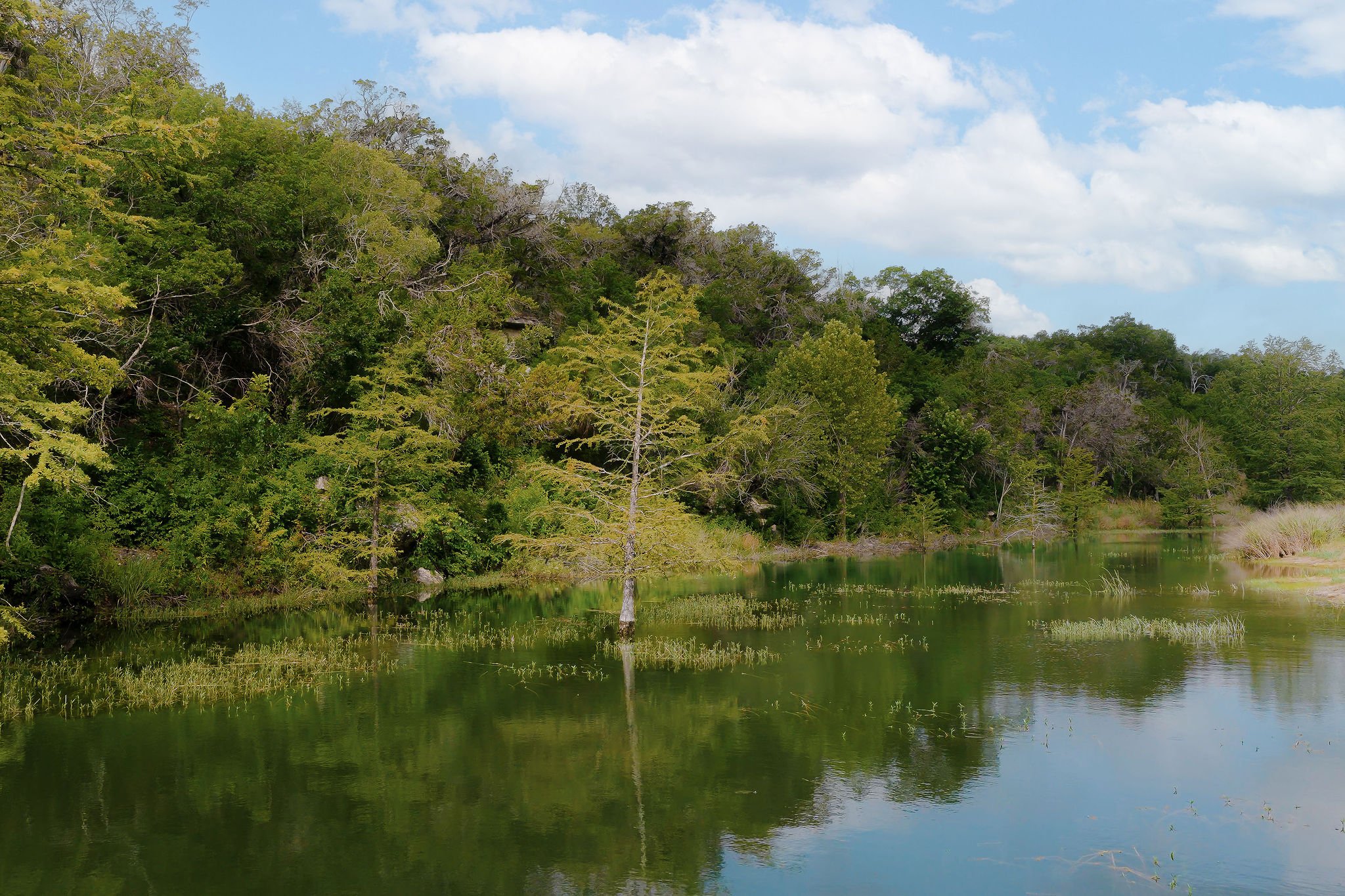 Ourhouse025_Creek.jpg