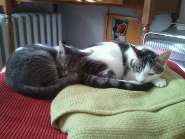 Naptime.jpg