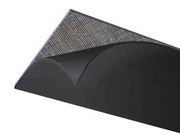 diaphragm.png