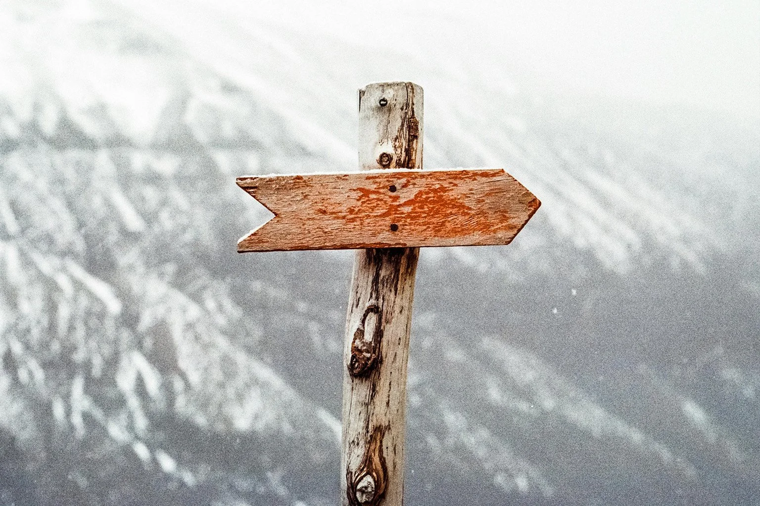Making Disciples: Moving Beyond Decisions