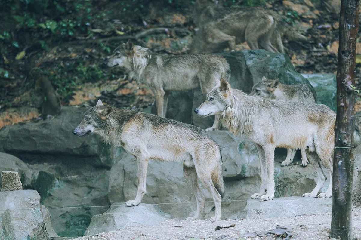 Speaking the Truth in Love