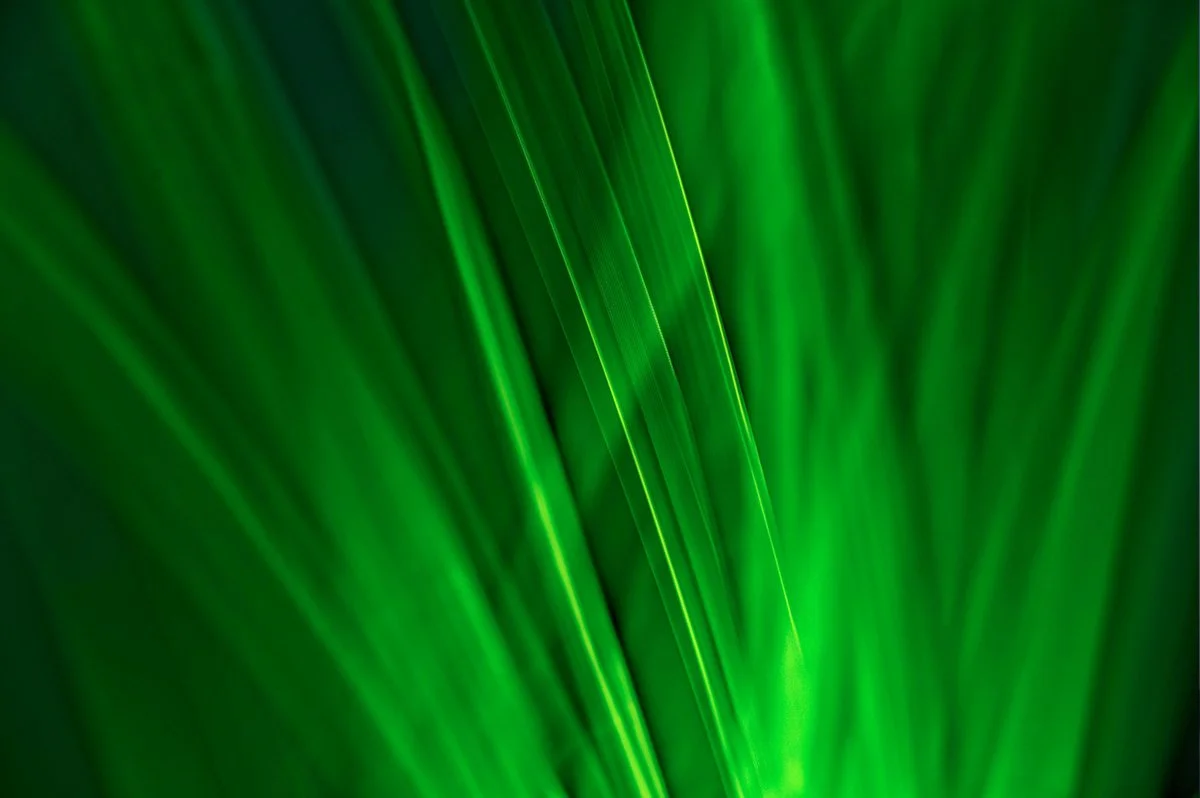 Healthy Leader – Really?