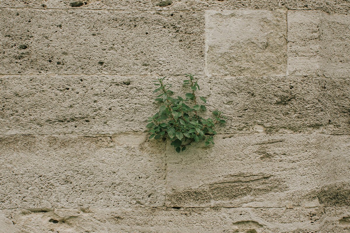 What Is Grit and Do You Have It?