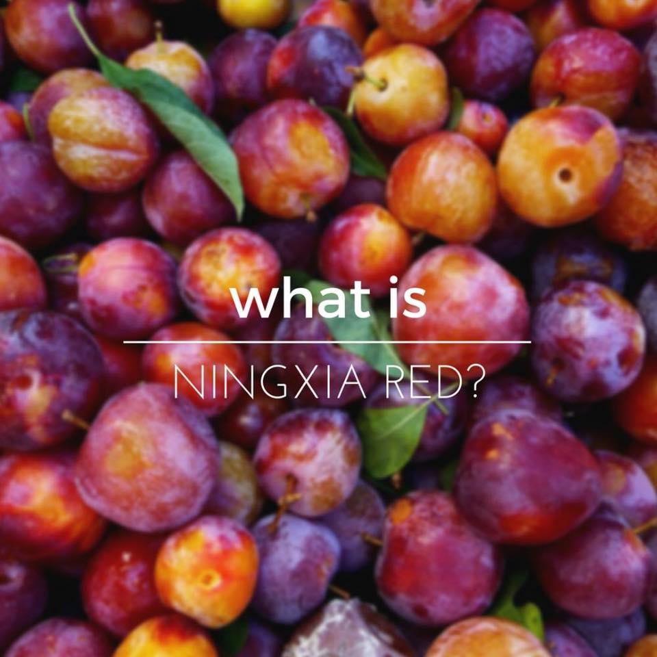 WHAT IS NINGXIA RED?