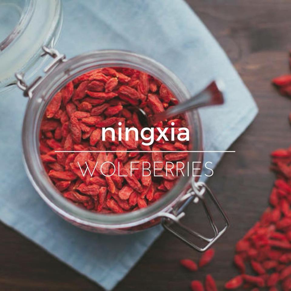 ORIGINS OF NINGXIA