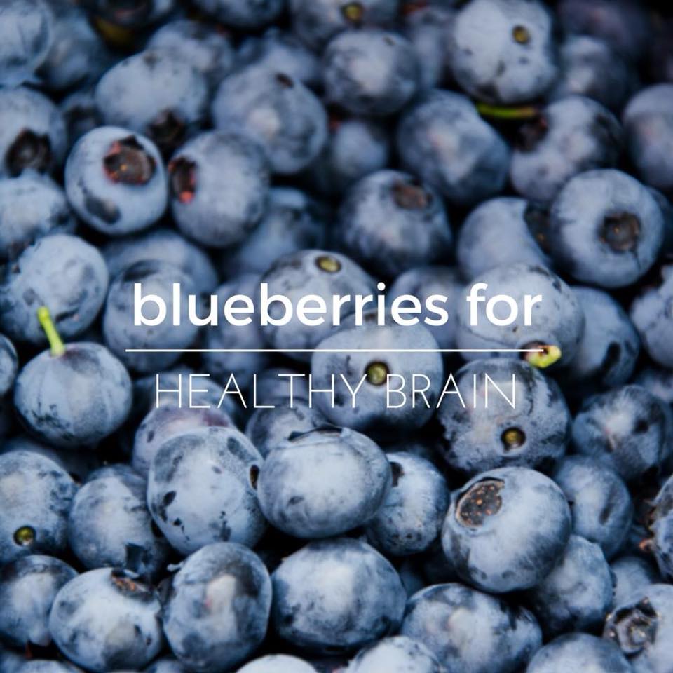 BLUEBERRIES FOR BRAIN HEALTH