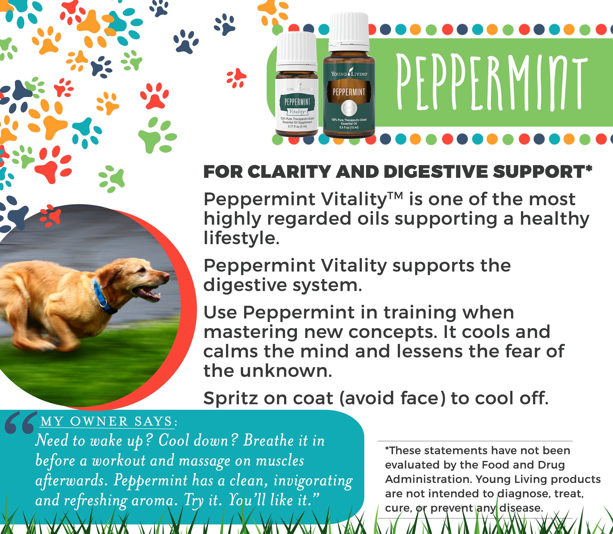 11-Dogs-Peppermint.jpg