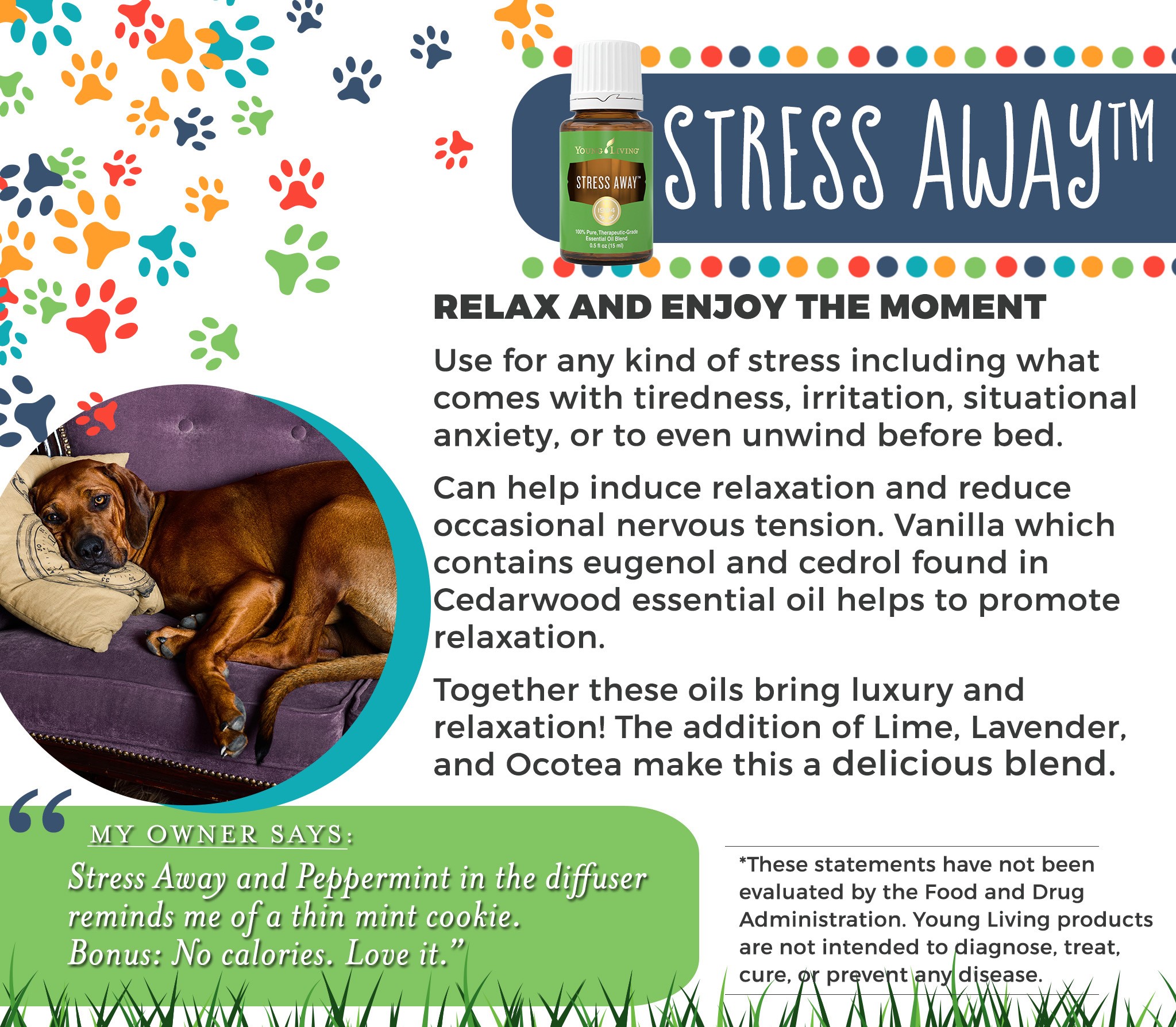 15-Dogs-Stress-Away.jpg