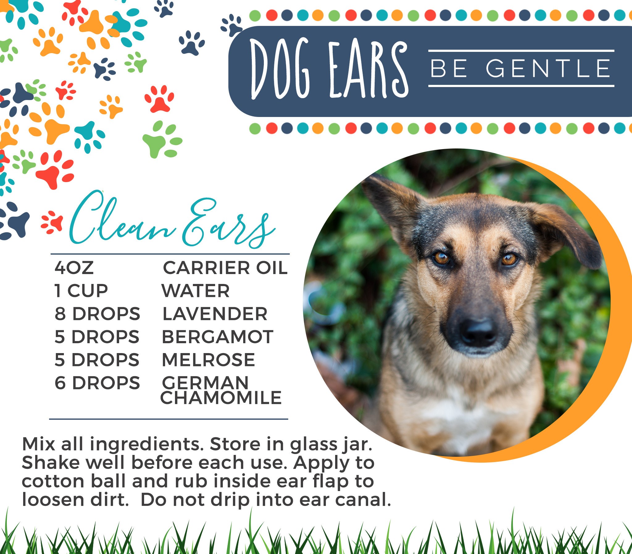 21-Dogs-Clean-Ears.jpg