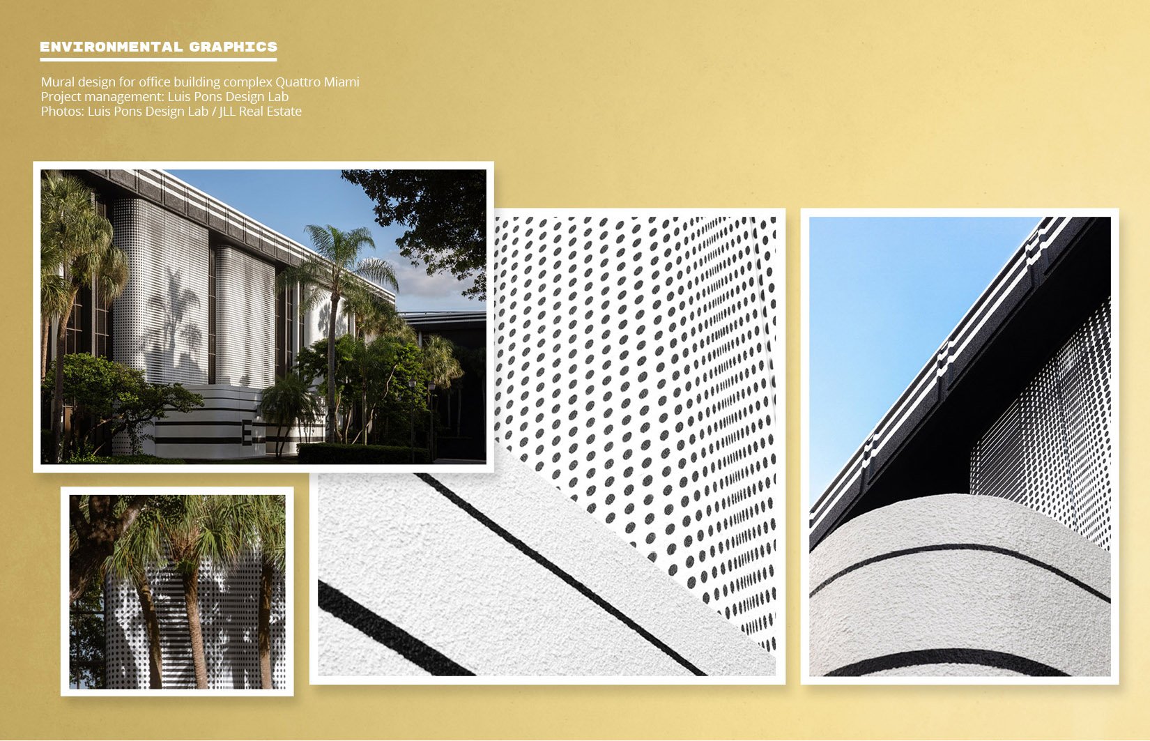 Portfolio_AM_202429.jpg