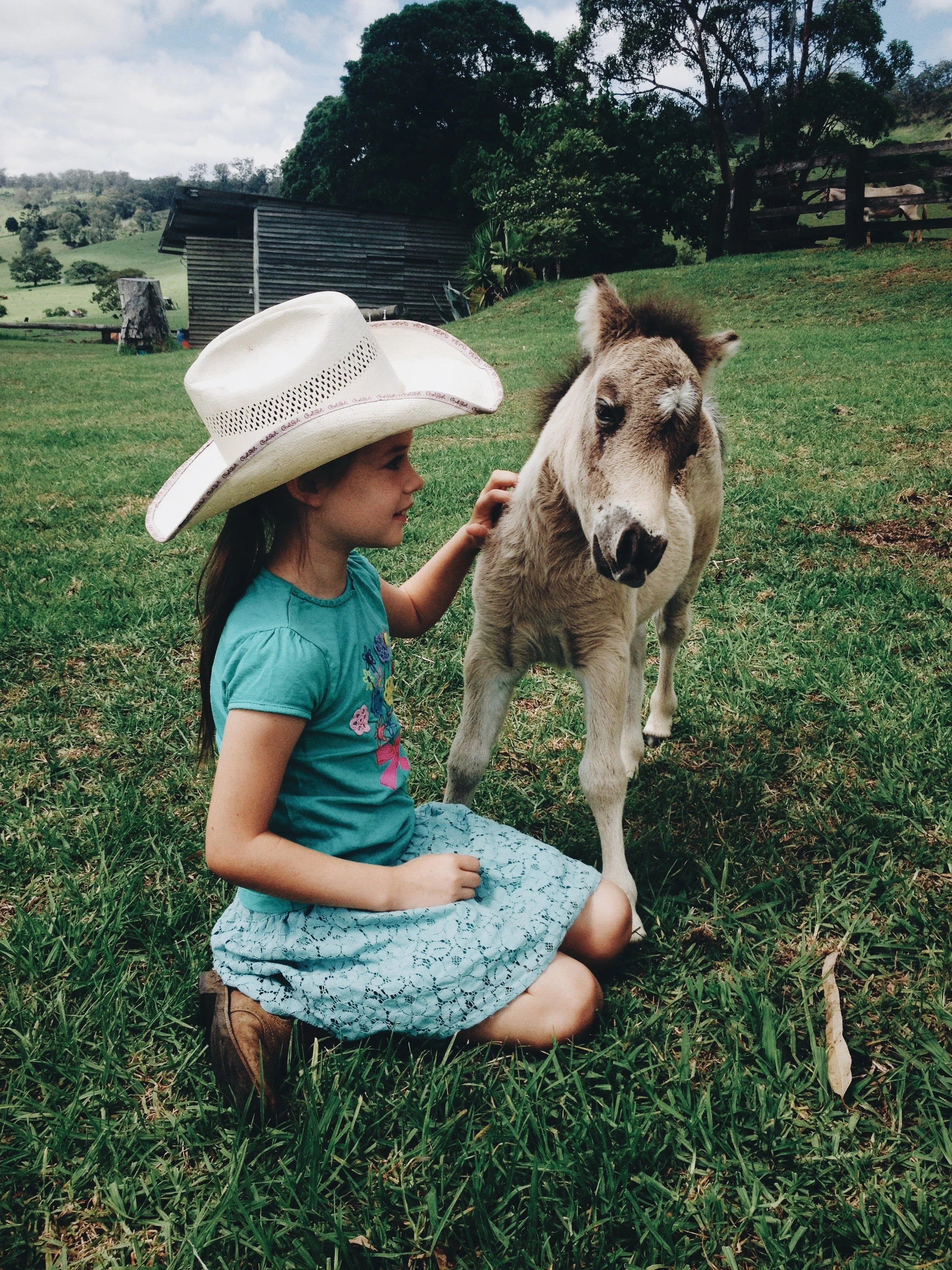 Lessons of the Horse || The Key is Consistency