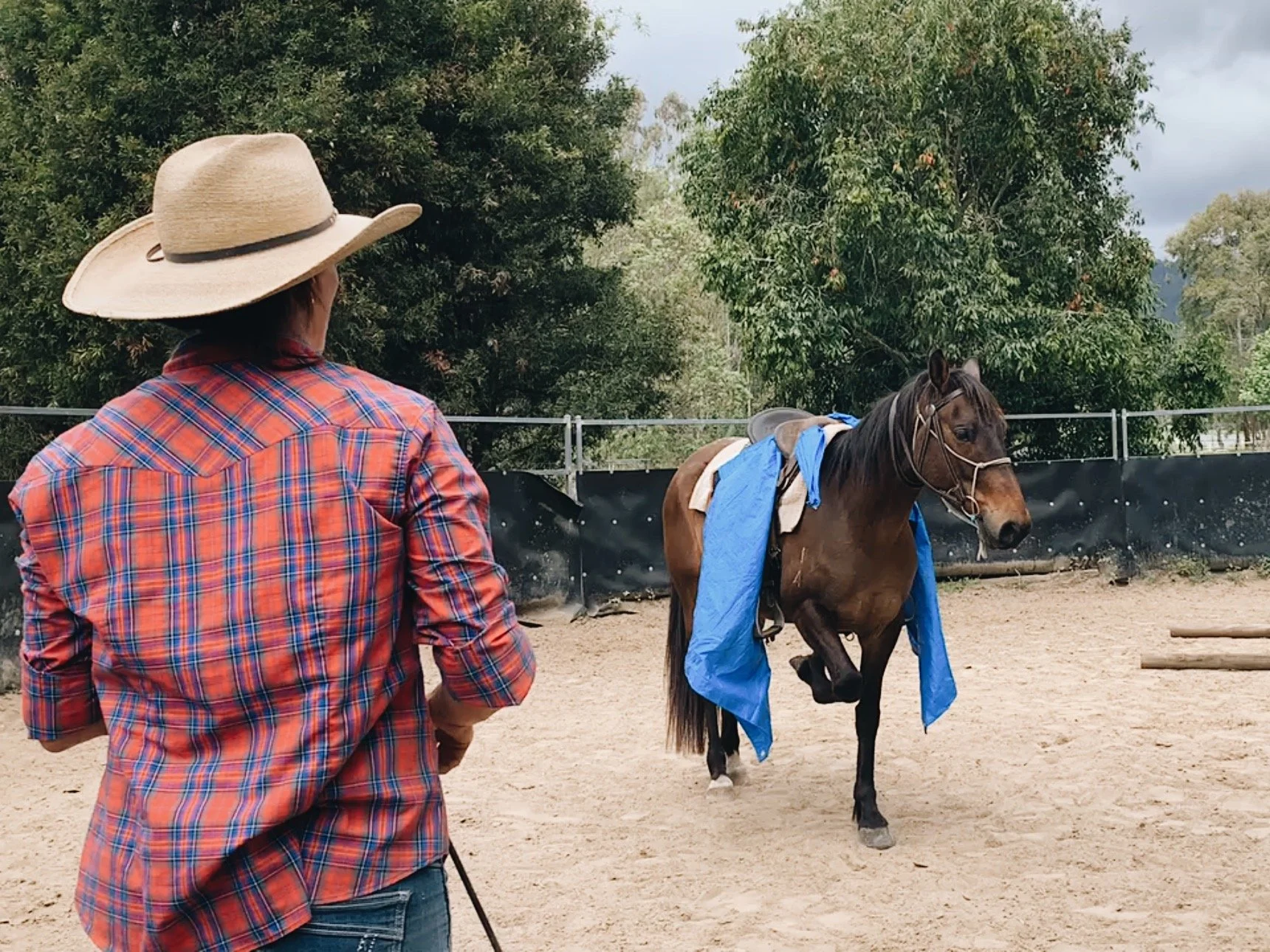 Connection + the Anatomy of Trust