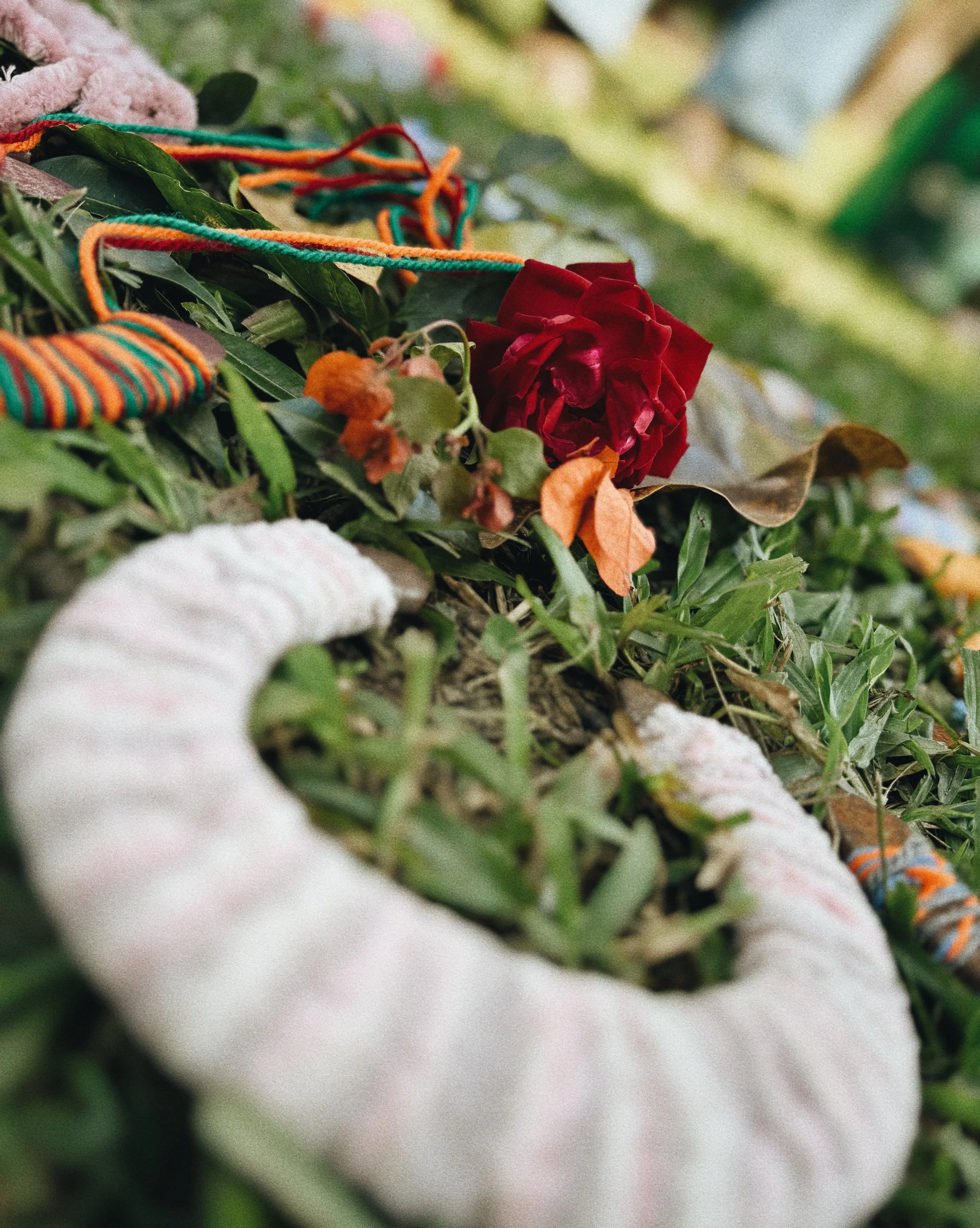 FullSizeRender_VSCO 8.JPG