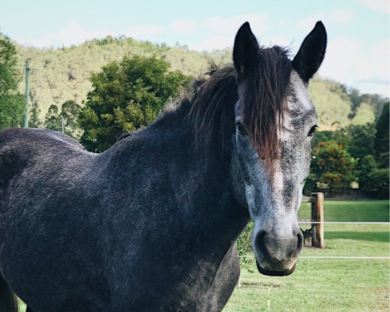 Consent + why asking for it matters 