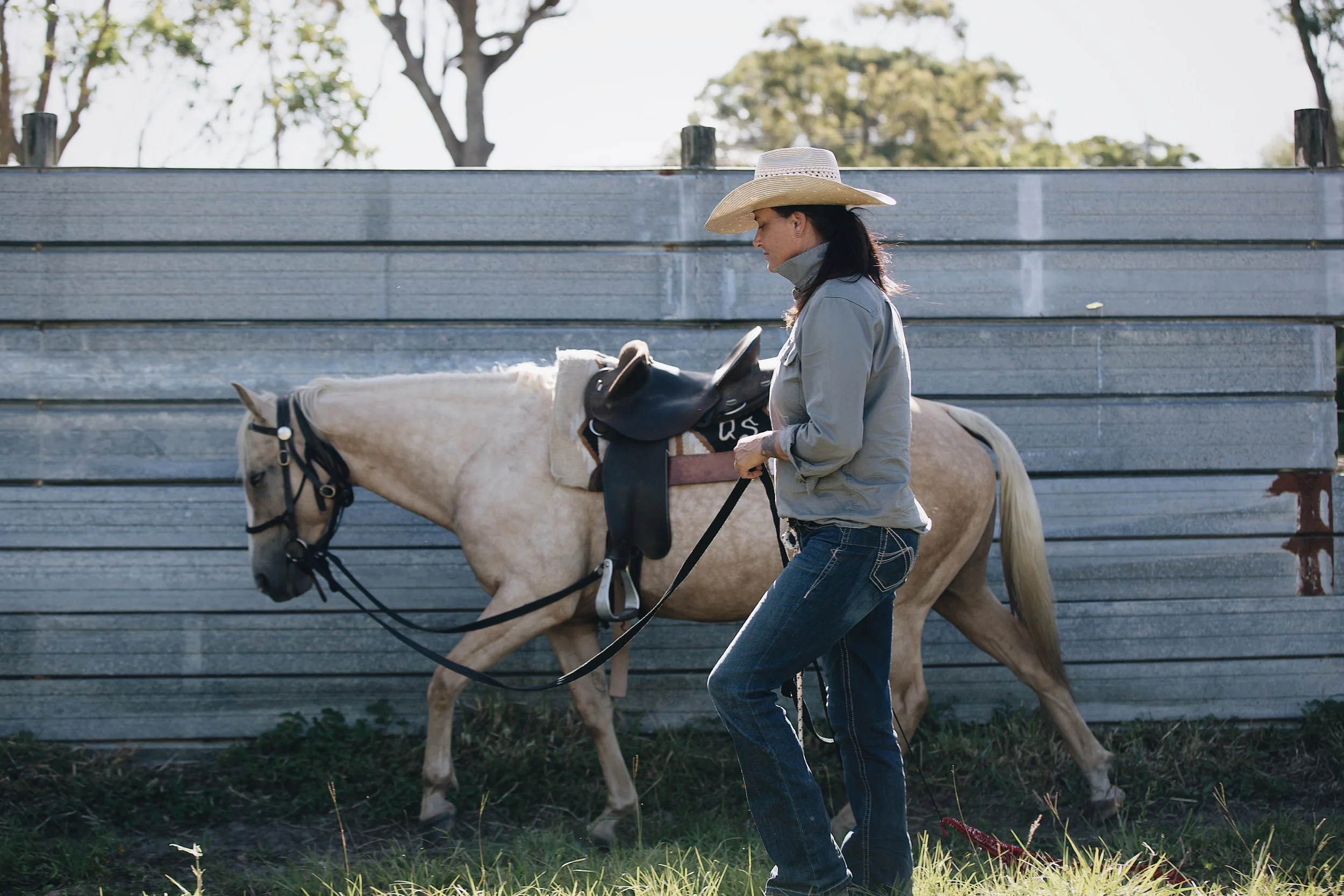 Lessons of the Horse || The Importance of Developing Solid Foundations