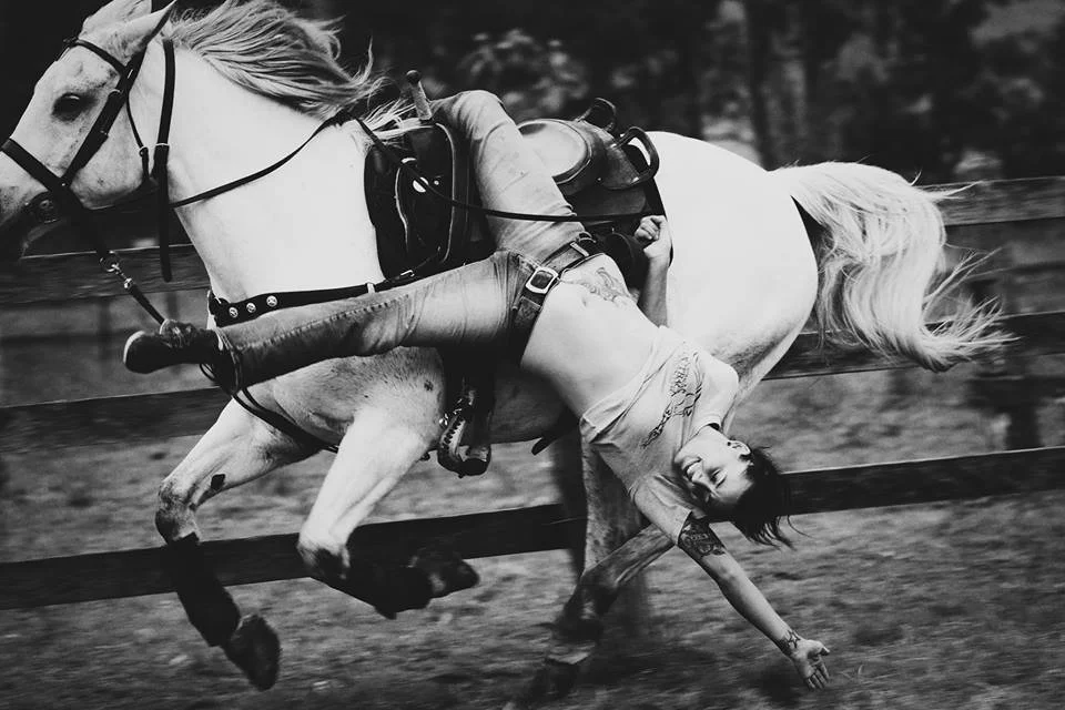 Lessons of the Horse || Of Fear + Trust
