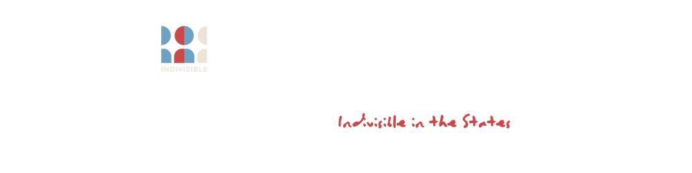 Building Locally - Indivisible in the States