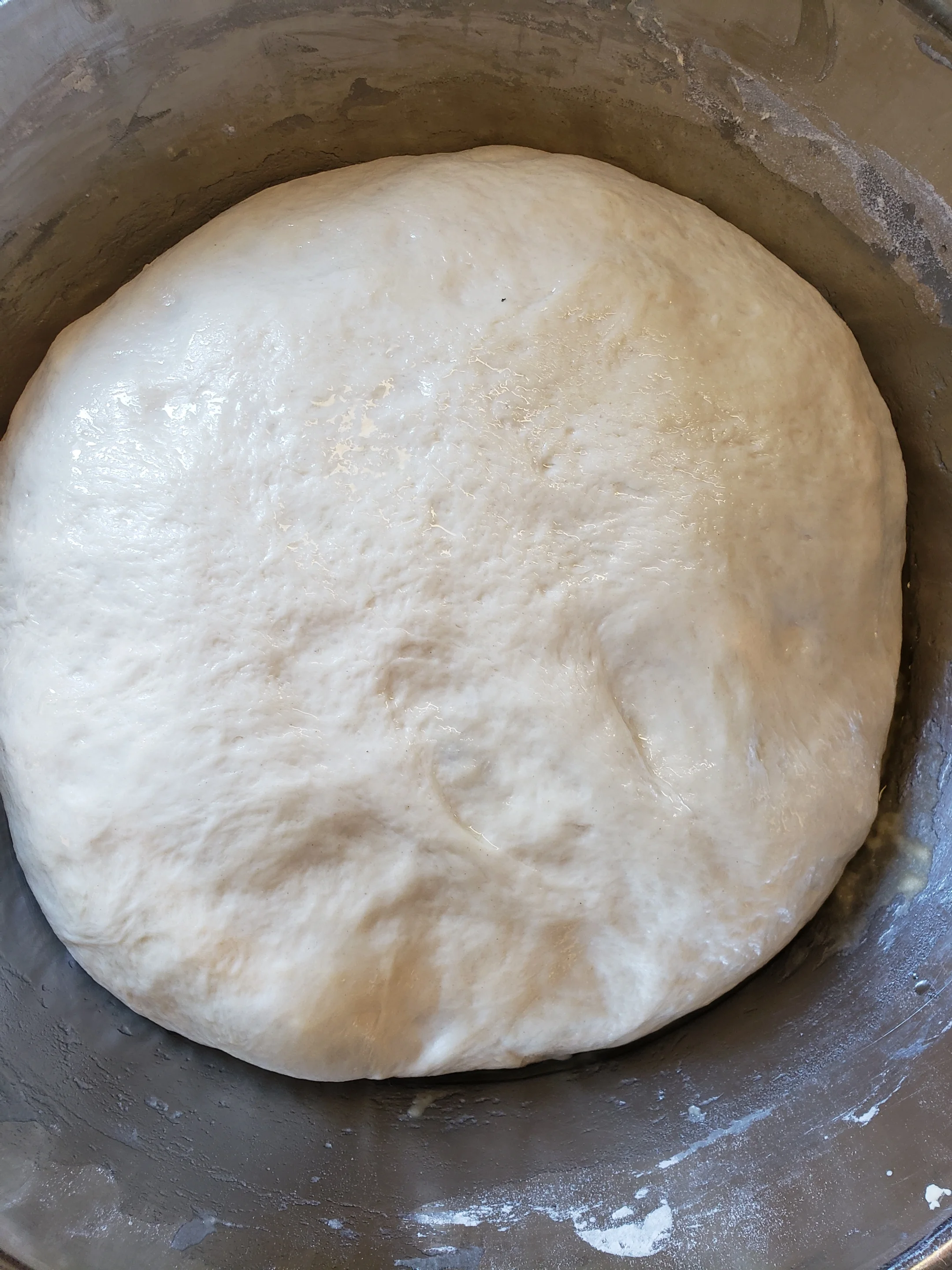 This is what your dough will look like after a slow proof.