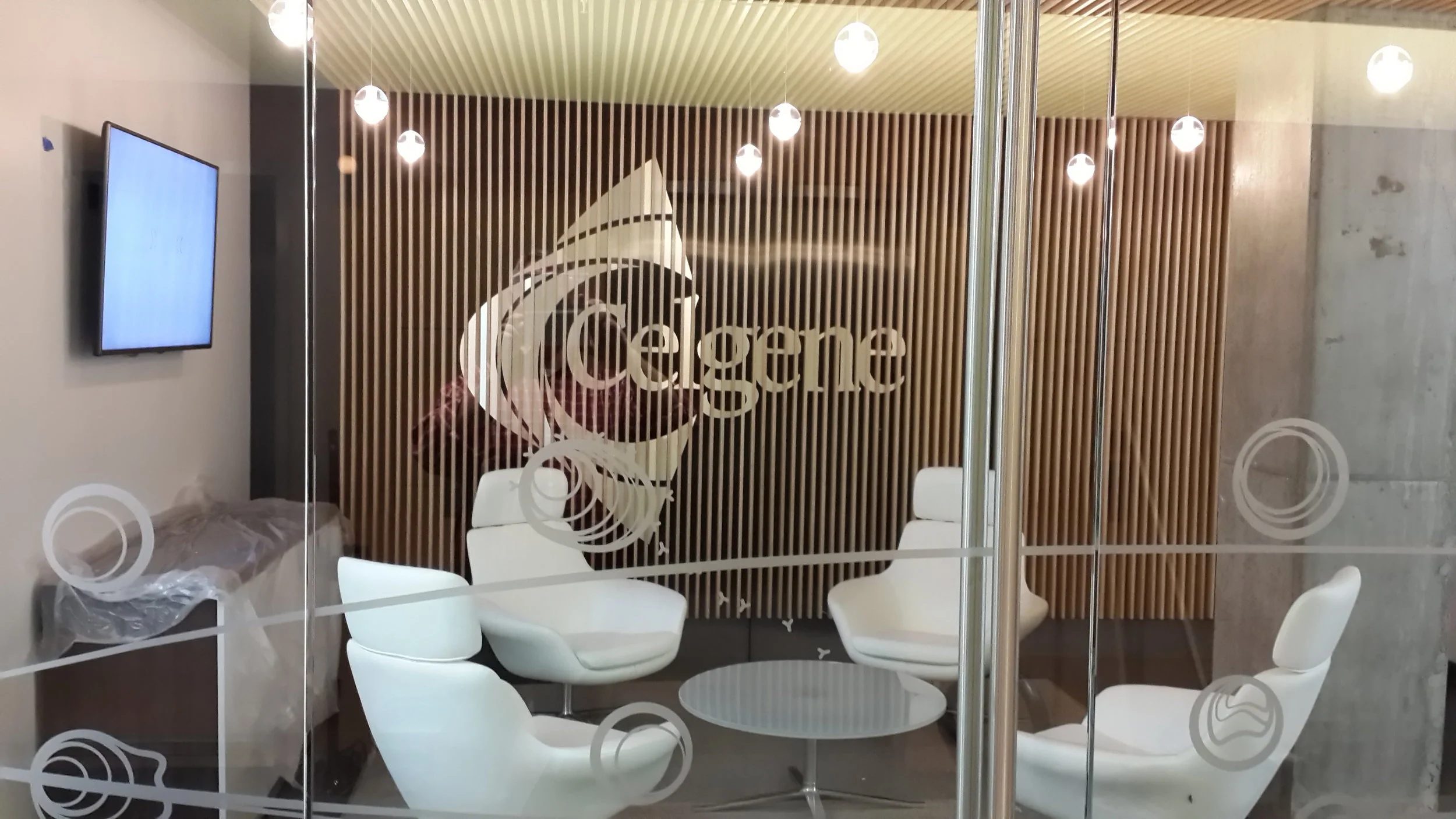 Celgene copy.jpg