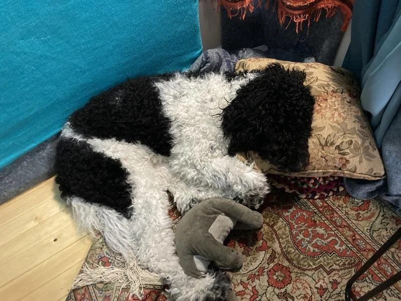 studio-oreo.jpeg
