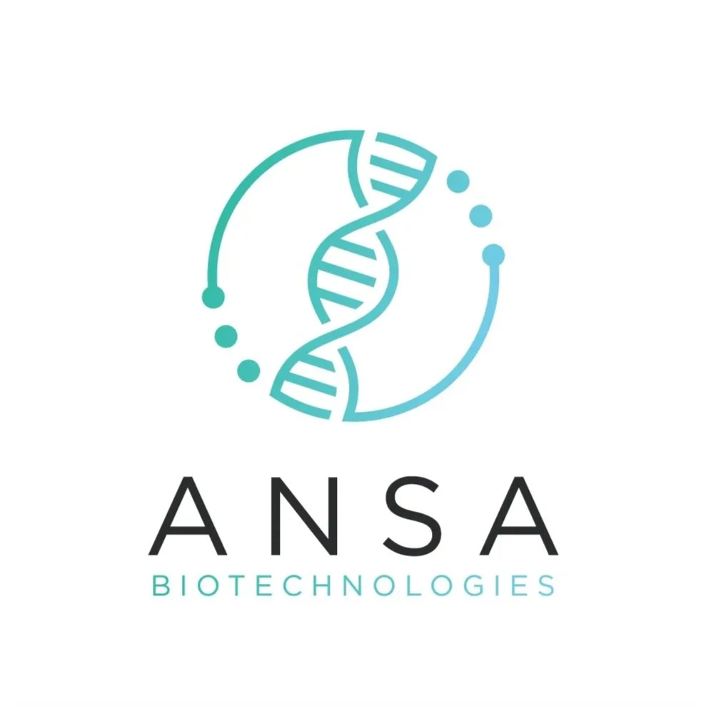 Ansa.jpg