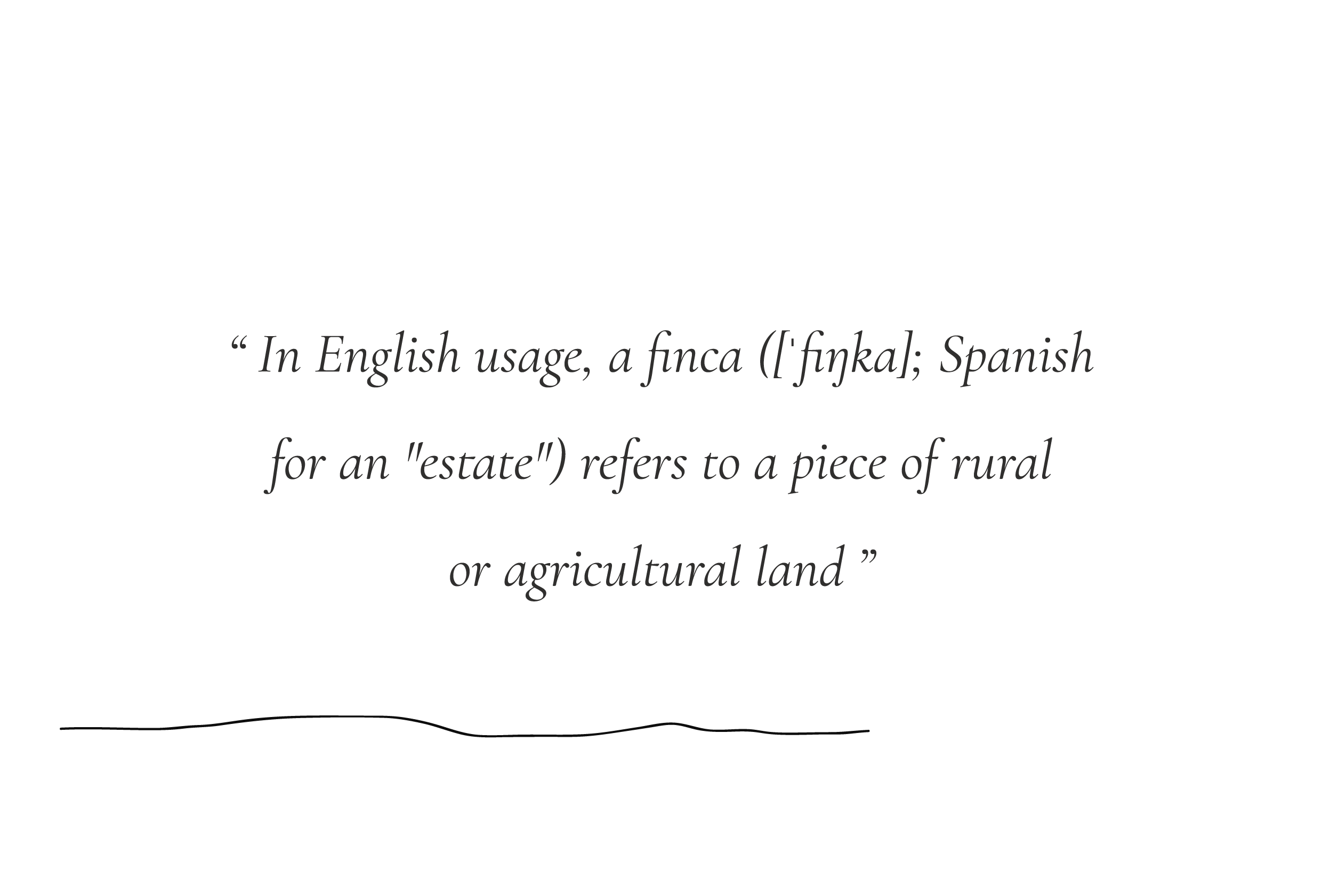 quote_white2-01-01.png