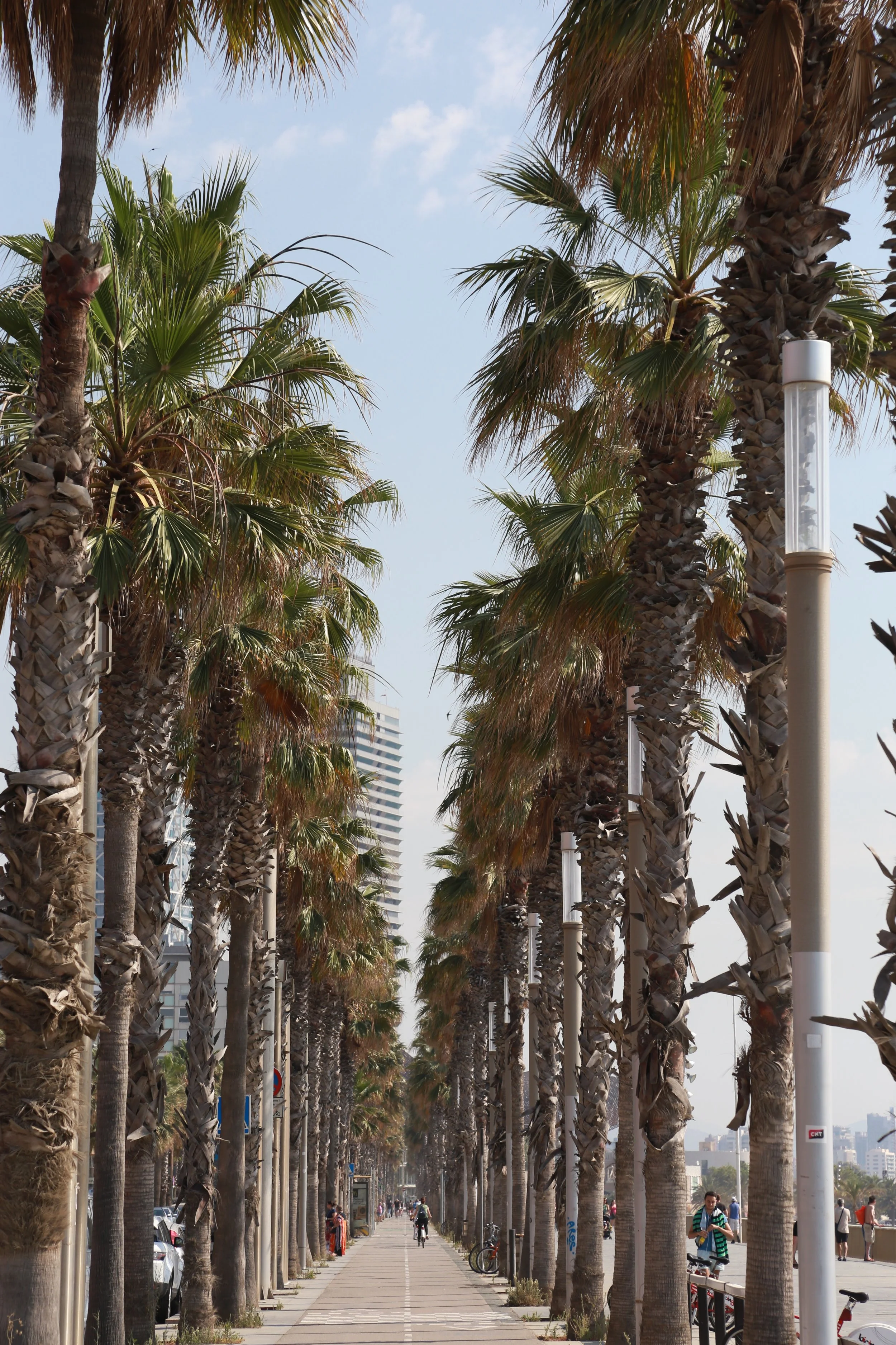 Make Money While (and for) Traveling