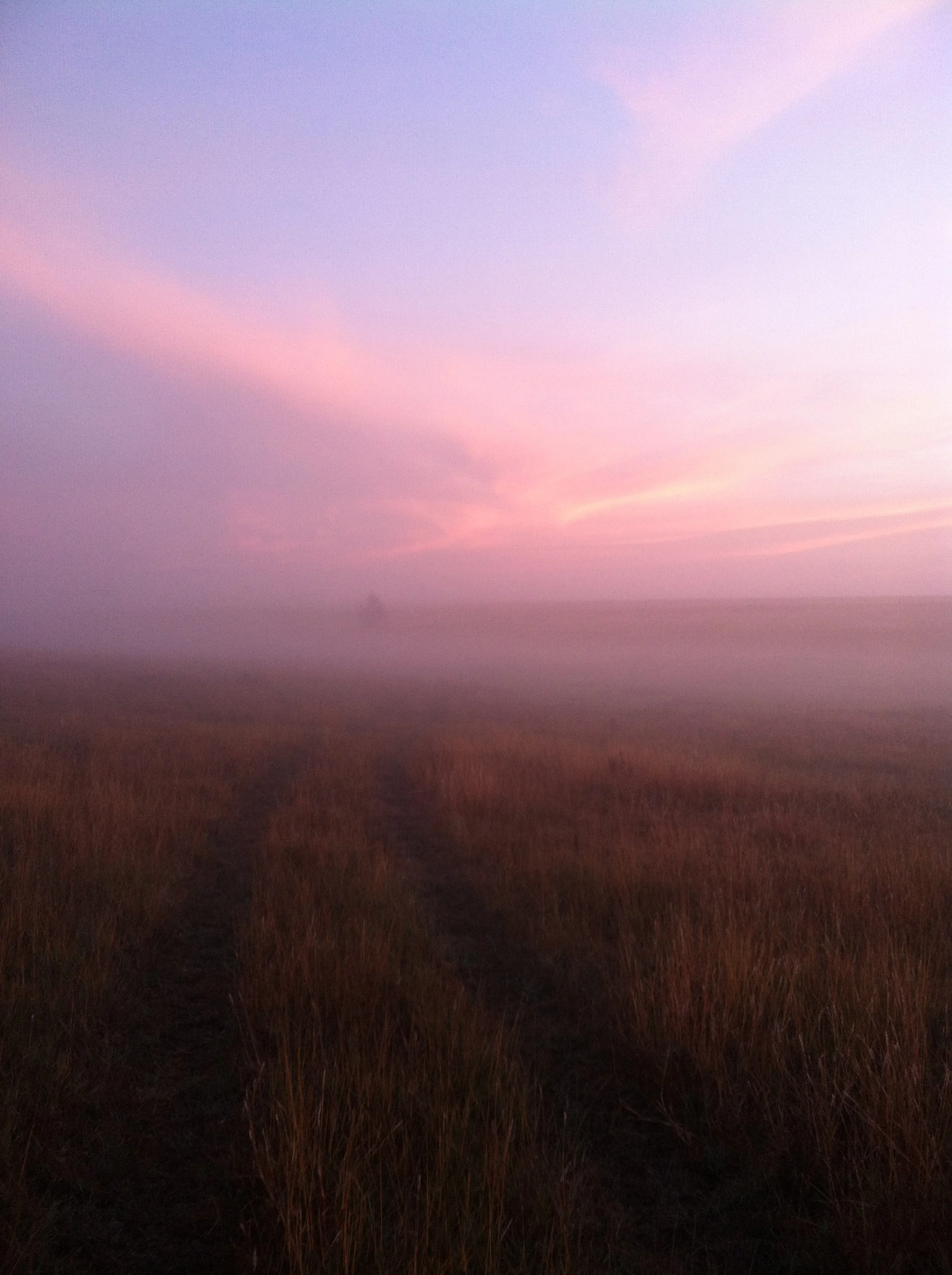 Navigating Landscapes