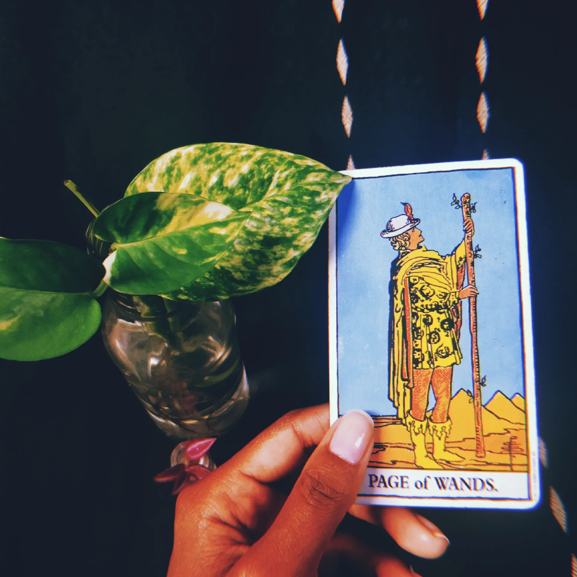 november vibes forecast