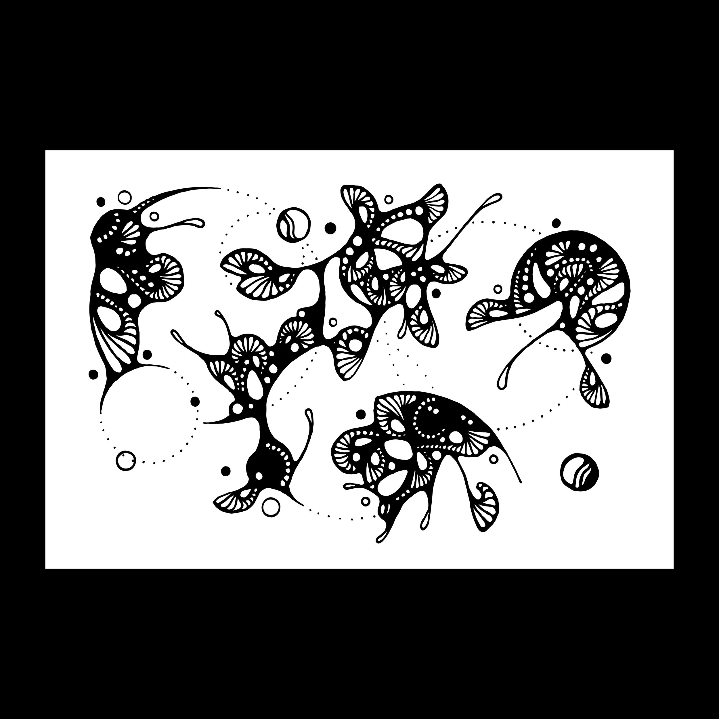 websitethumbnailkelvinchromatics.jpg