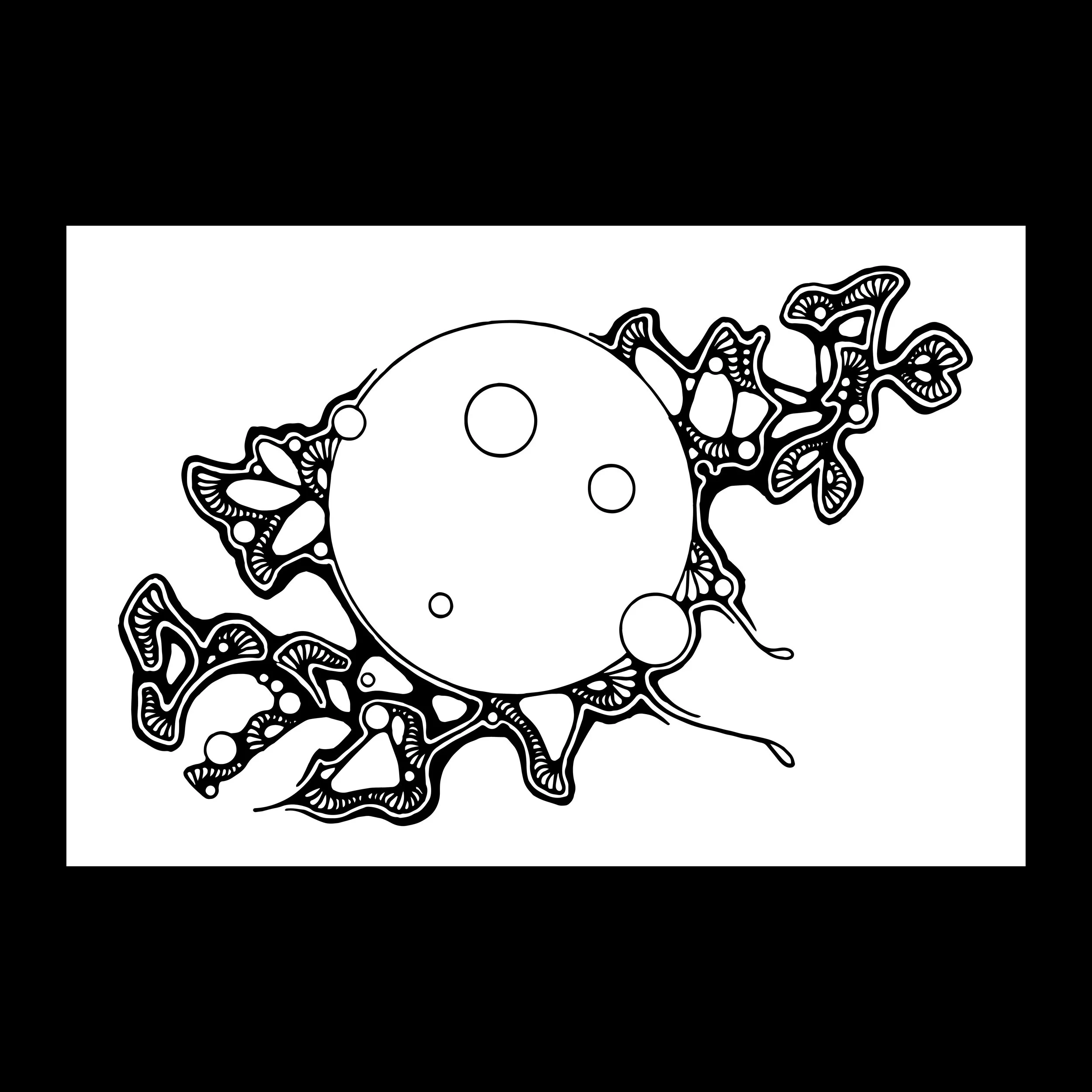 websitethumbnail High Halide.jpg