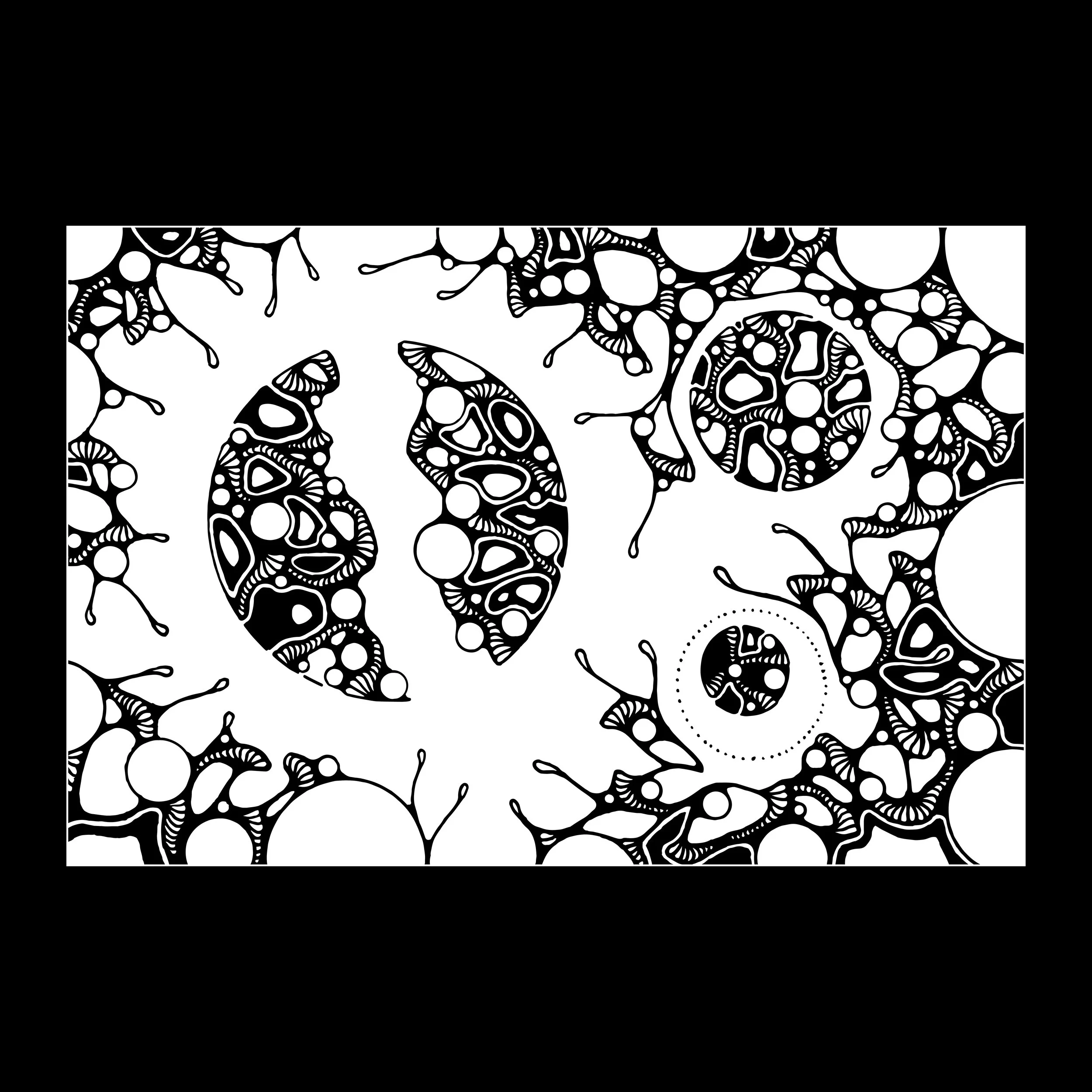 Adjustable Argon