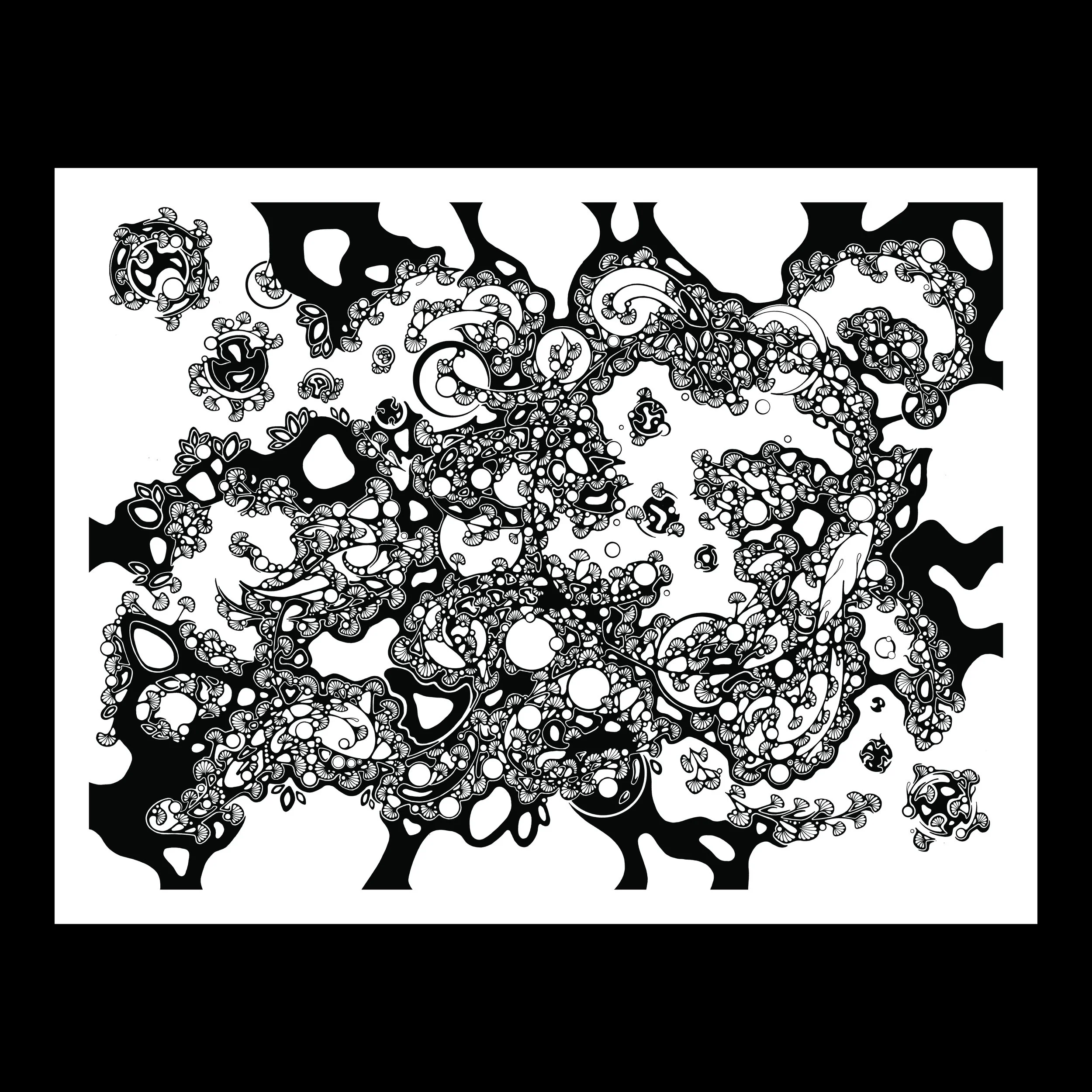 Biological Behavior Thumbnail-01.jpg