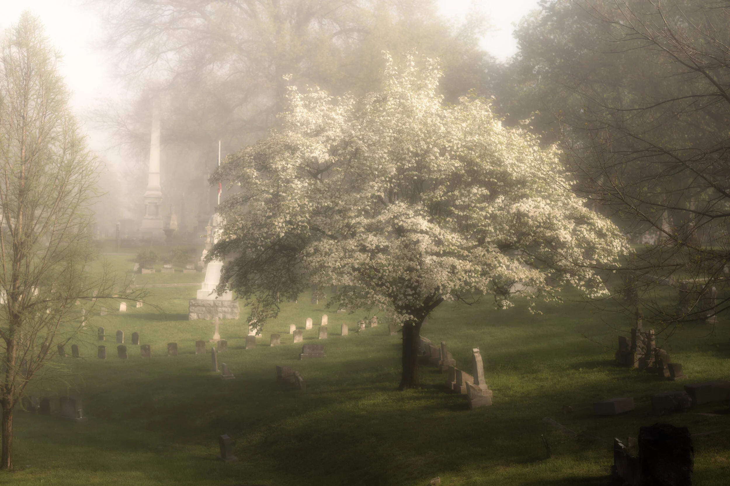 Frankfort Cemetery145April 27, 2020-Edit.jpg