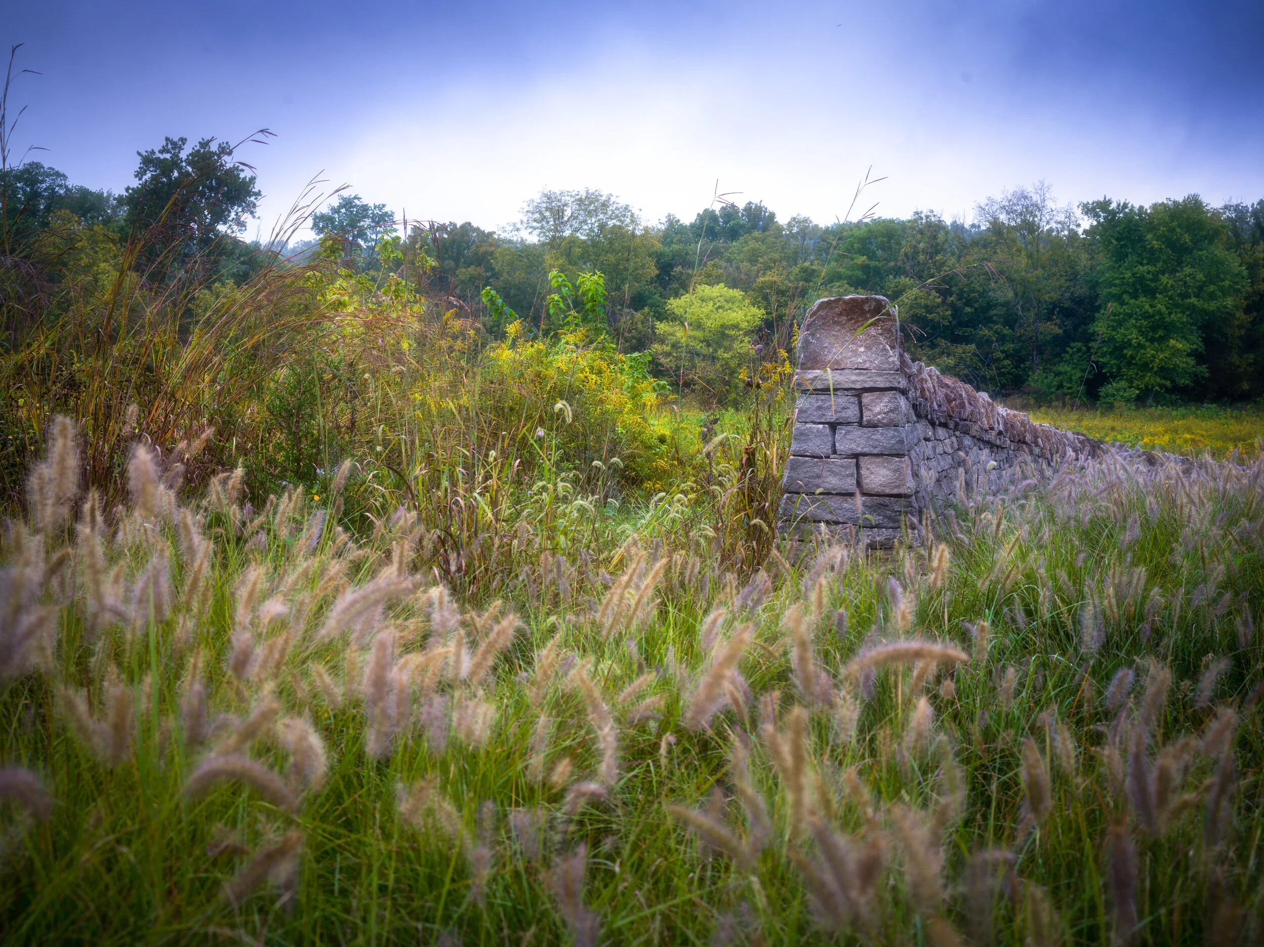 untitled-45-Edit.jpg